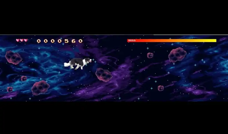 BorderCollie Blaster — изображение 3