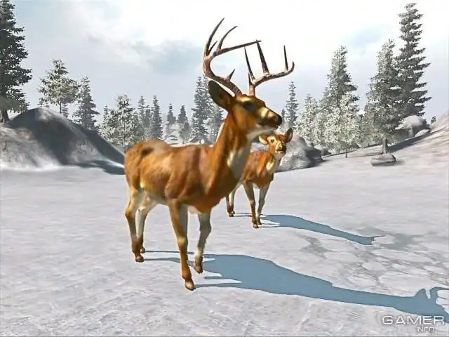 Cabela's Big Game Hunter 2008: Trophy Buck — изображение 3