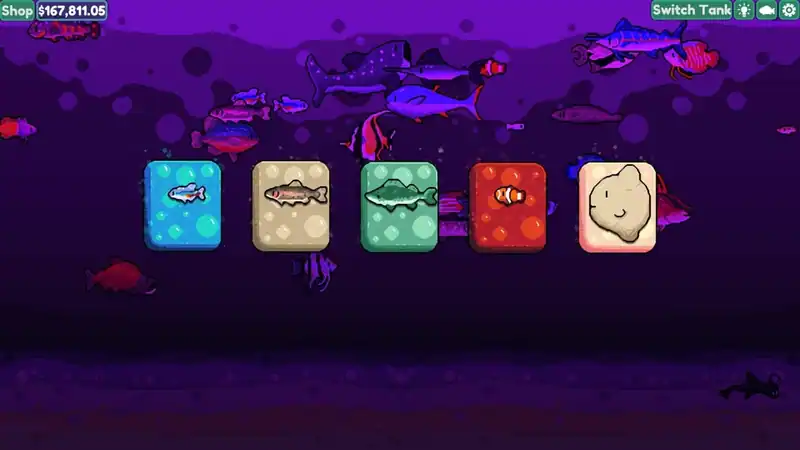 Chillquarium — изображение 3