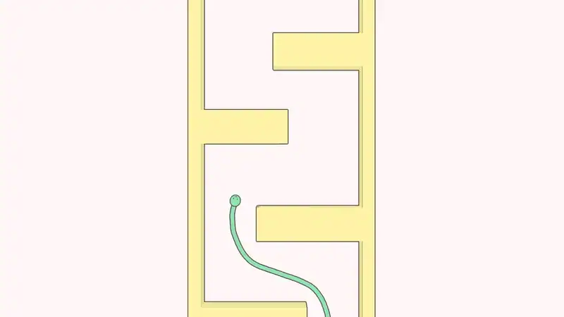 Cute Snake — изображение 3