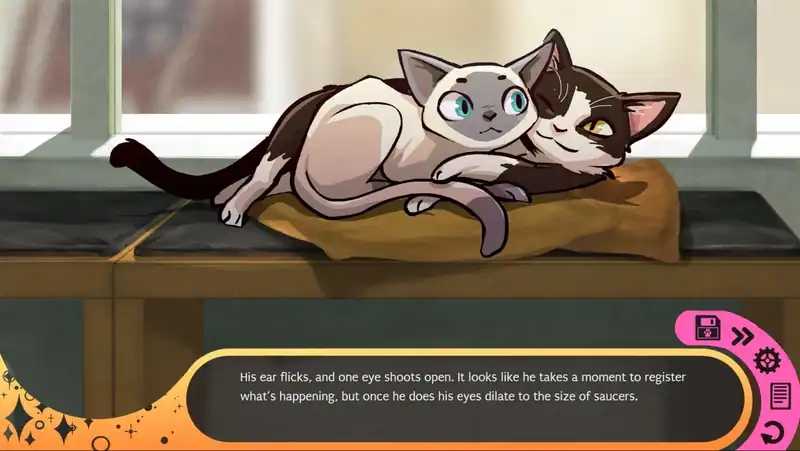 Hustle Cat — изображение 2