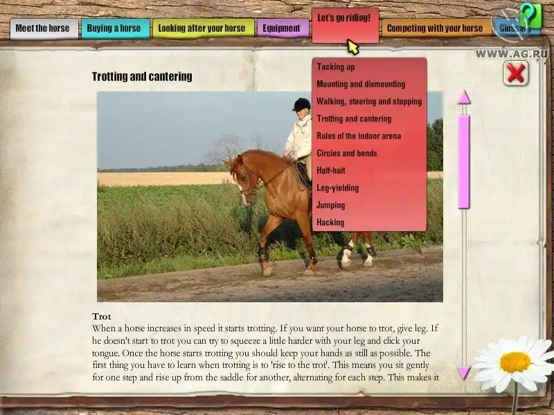 My First Pony — изображение 3