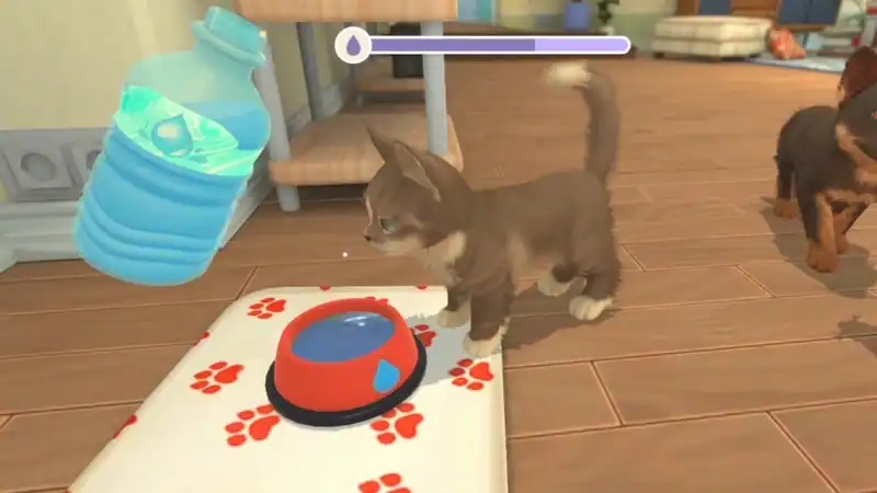 My Universe - Puppies and Kittens — изображение 2