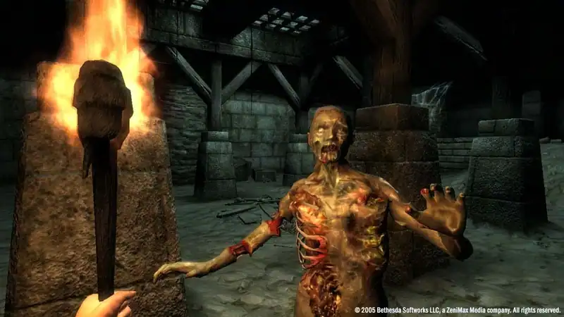 The Elder Scrolls 4: Oblivion Game of the Year Edition — изображение 2
