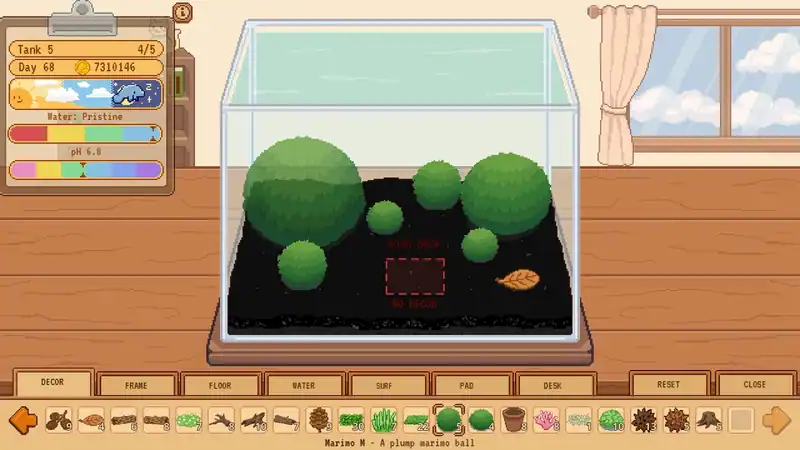 Tiny Glass Tank: Dwarf Shrimp and Friends — изображение 3