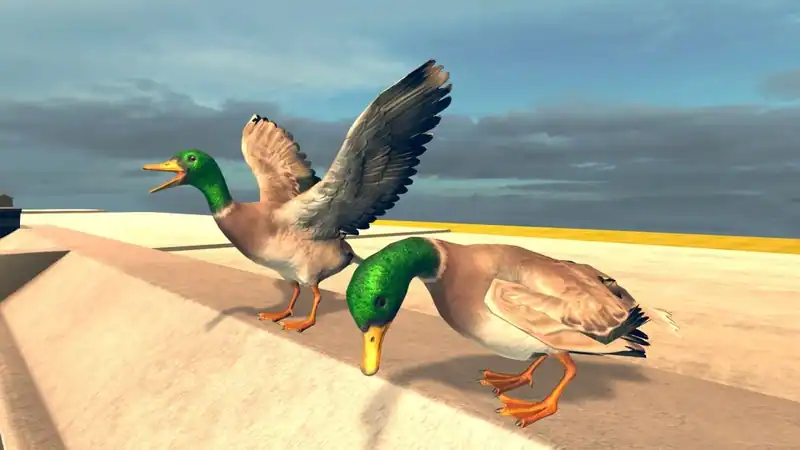 Bird Simulator — изображение 3