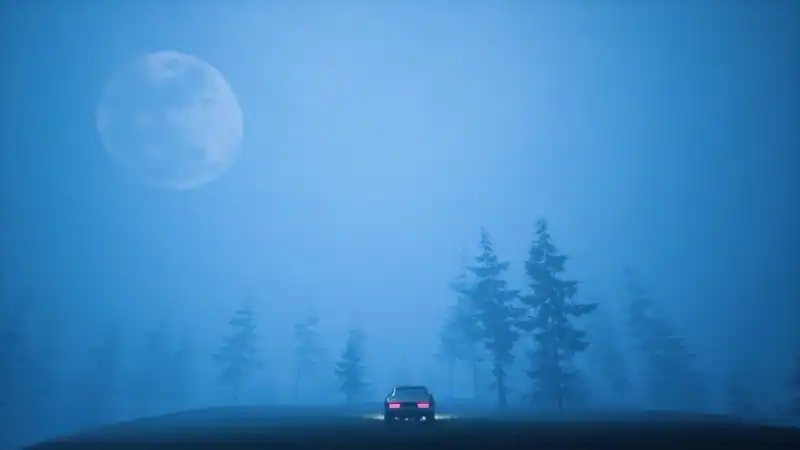 Welcome to PINEHILLS — изображение 3