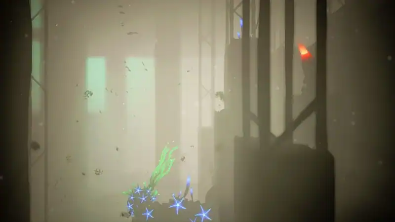 Koral — изображение 3