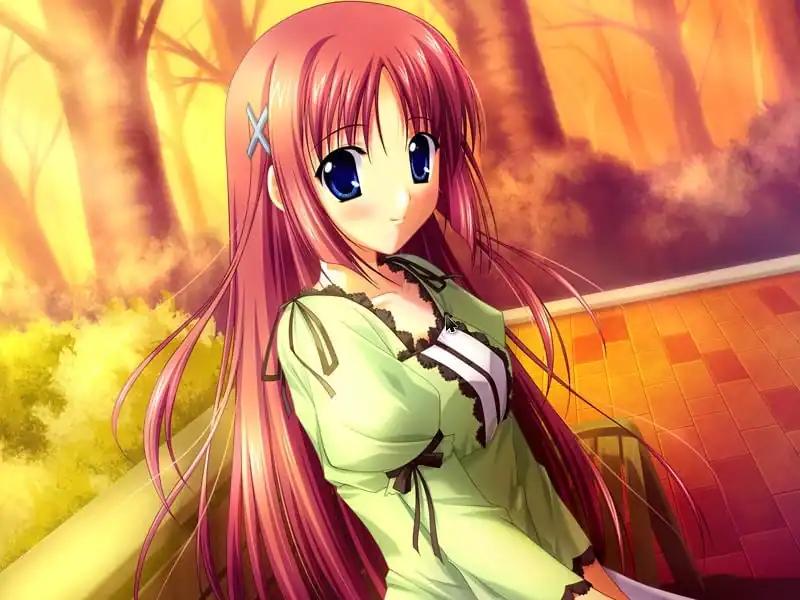Kotori Love ExP — изображение 3