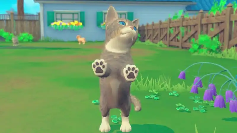 My Universe - Puppies and Kittens — изображение 3