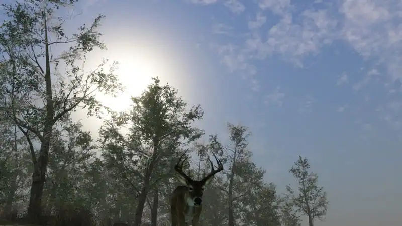 Pro Deer Hunting 2 — изображение 3