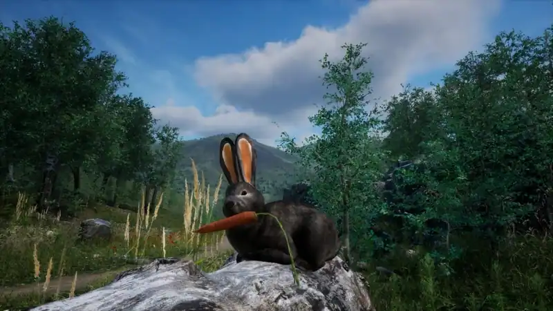 Rabbit Meadow — изображение 3
