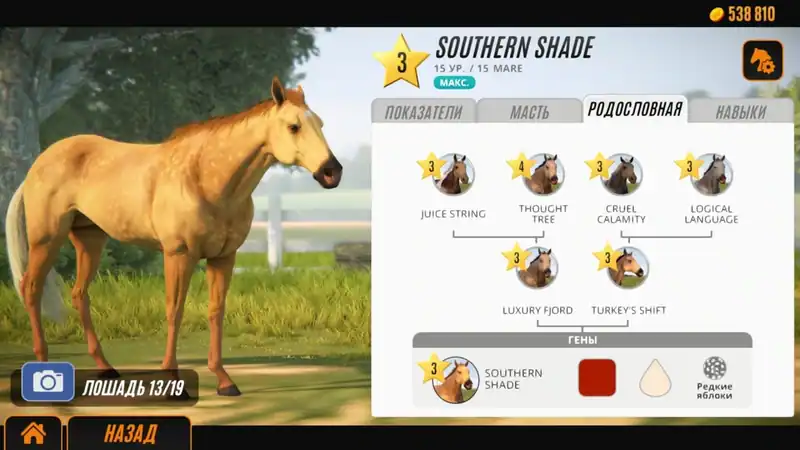 Rival Stars Horse Racing: Desktop Edition — изображение 3