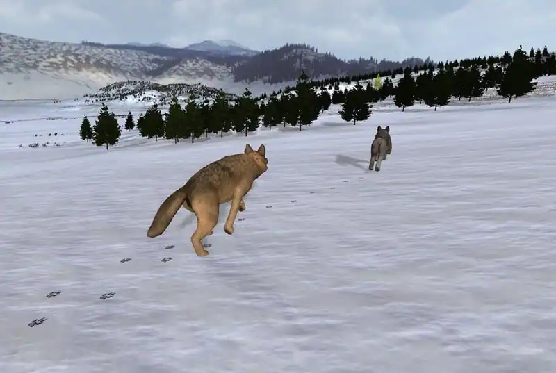 WolfQuest: Classic — изображение 2