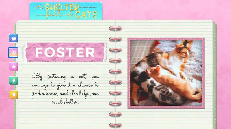 A Shelter Full of Cats — изображение 3