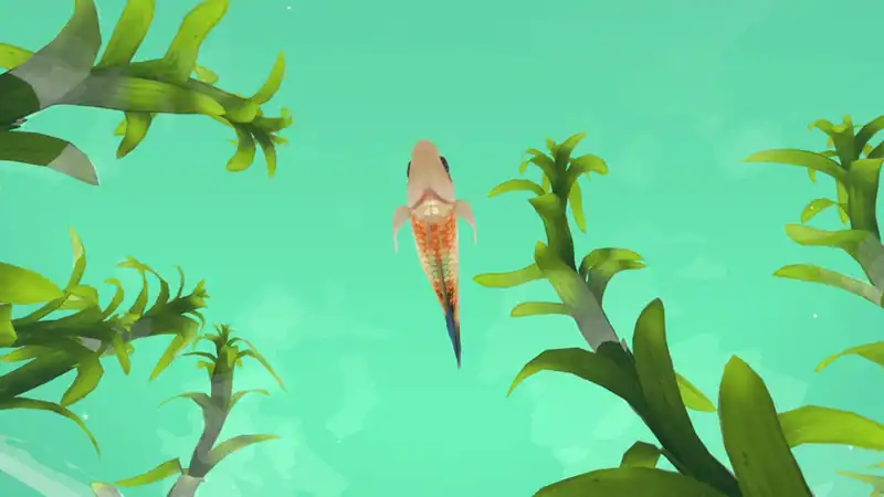FISHERY — изображение 2