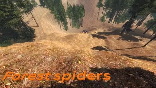 Forest spiders — изображение 3