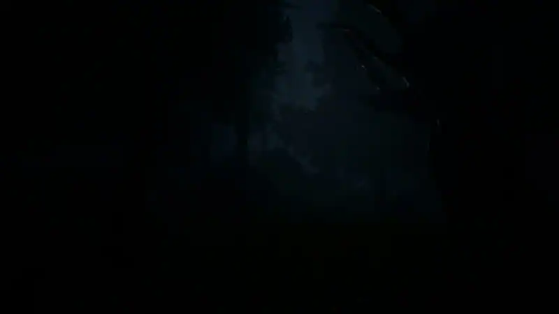 Nerved — изображение 1