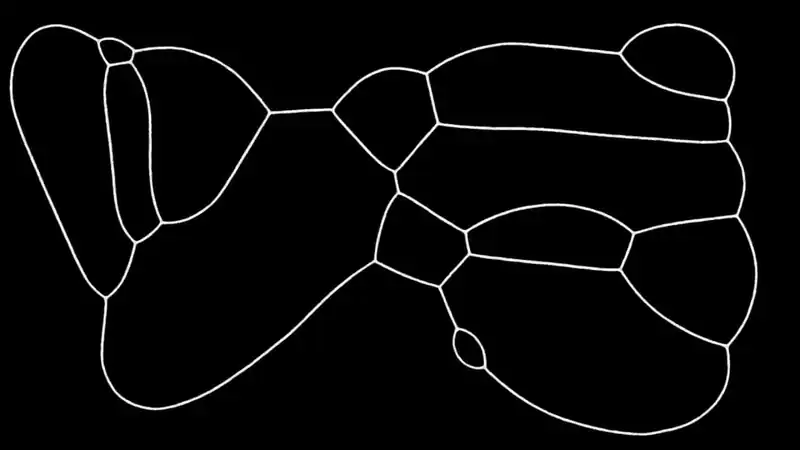 PHYSARUM: Slime Mold Simulator — изображение 2