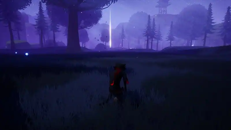 Raccoon Arrival — изображение 1