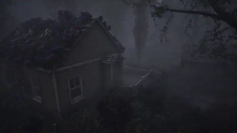 The Dead Tree of Ranchiuna — изображение 2