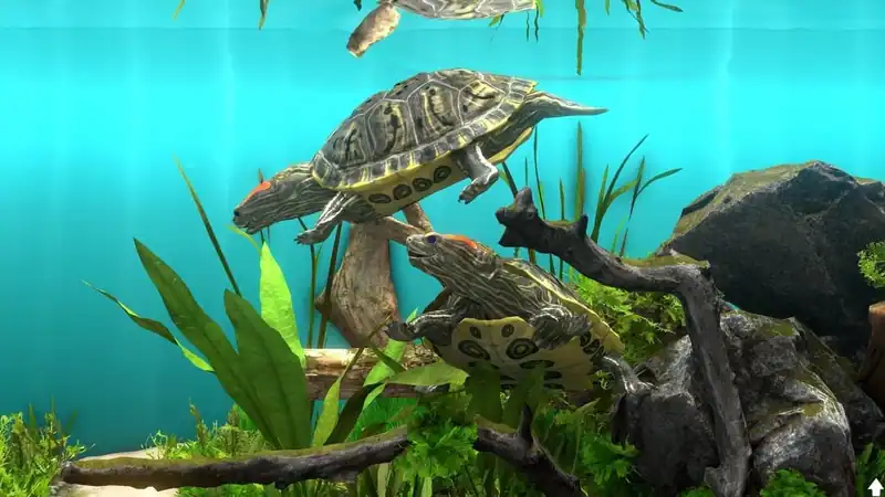 Behind Glass: Aquarium Simulator — изображение 3
