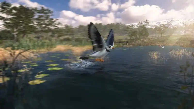 Birding Simulator: Bird Photographer — изображение 2