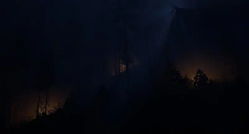 V696 — изображение 2
