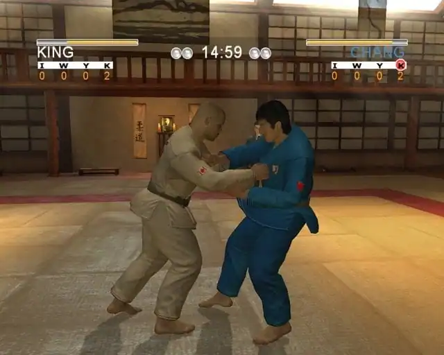 David Douillet Judo — изображение 3