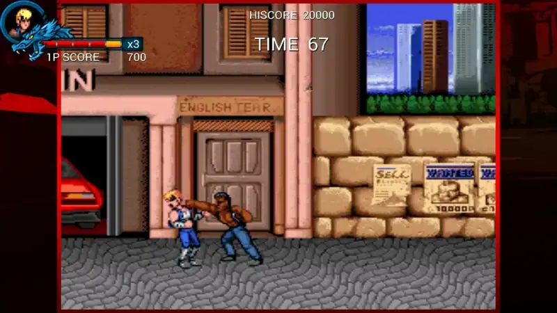 Double Dragon Trilogy — изображение 2