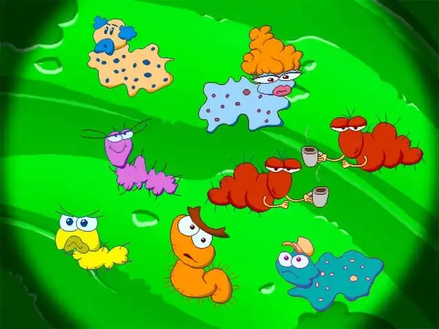 Freddi Fish 5: The Case of the Creature of Coral Cove — изображение 3