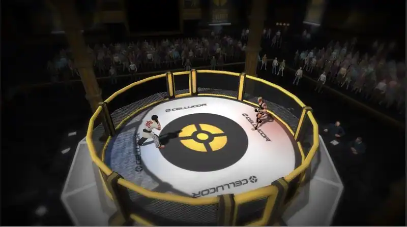MMA Arena — изображение 3