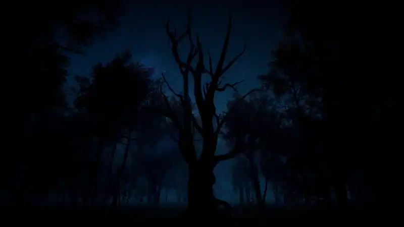 Slender: The Arrival — изображение 3