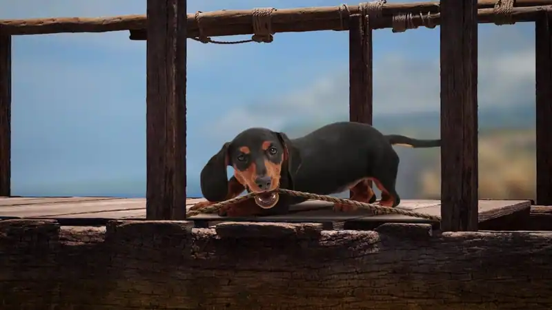 The Lost Dachshund — изображение 3