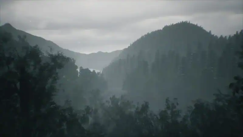 Wakamarina Valley, New Zealand — изображение 3