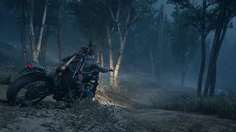 Days Gone — изображение 3