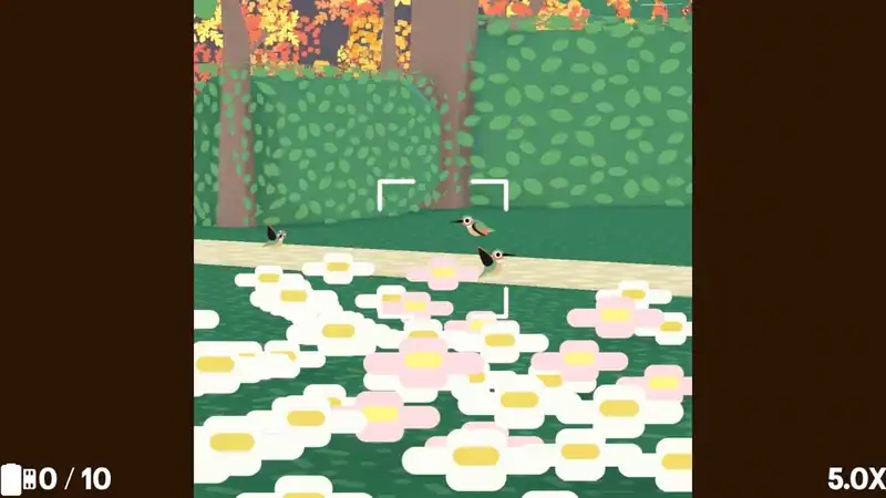Flock Around — изображение 3