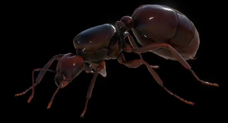 For The Hive — изображение 2