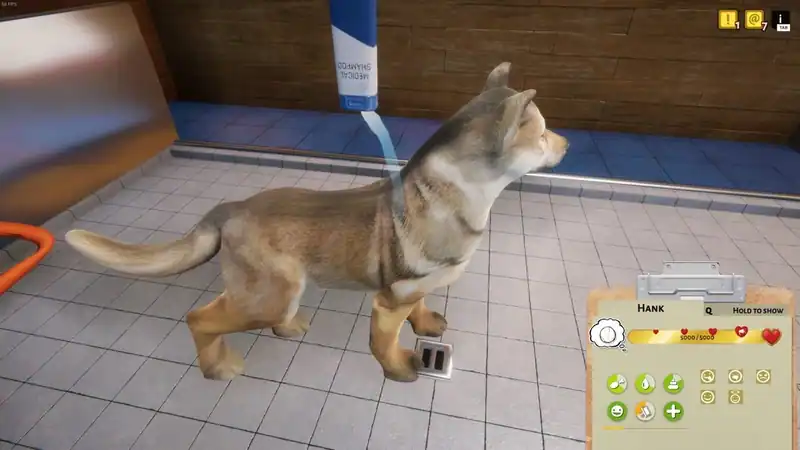 Animal Shelter — изображение 2