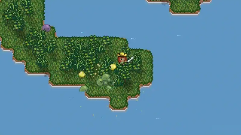 Island Berry — изображение 2