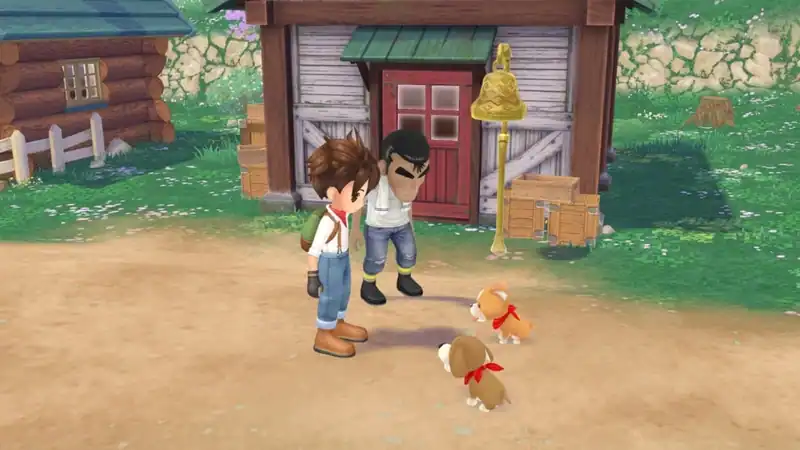 STORY OF SEASONS: A Wonderful Life — изображение 2