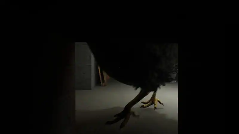 Chicken Feet — изображение 3