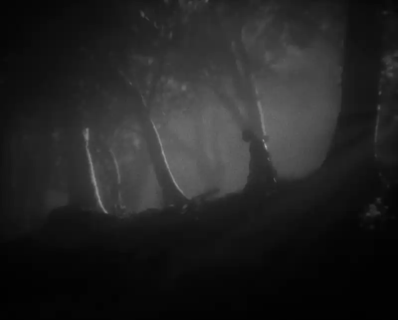 Daemonologie — изображение 3