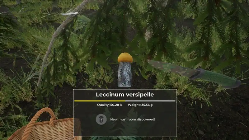 Mushroom Hunter World — изображение 3