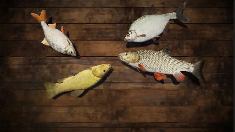 Professional Fishing — изображение 2