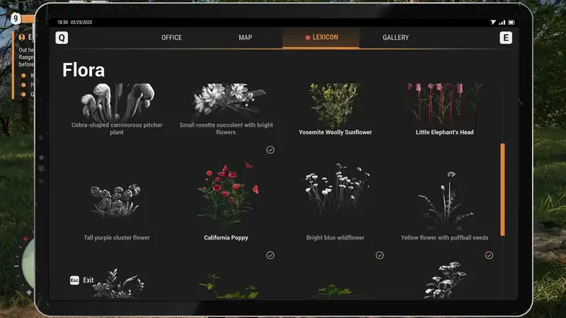 Ranger's Path: National Park Simulator — изображение 2