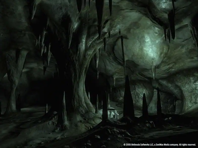 The Elder Scrolls 4: Oblivion Game of the Year Edition — изображение 3