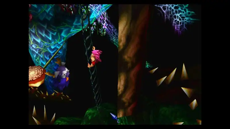 Tomba! 2: The Evil Swine Return Special Edition — изображение 3