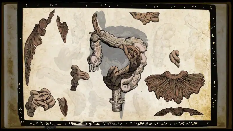 Wound Man — изображение 3