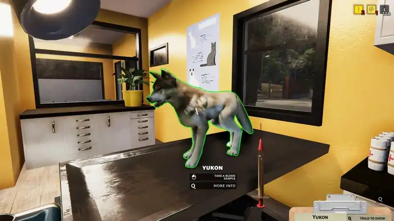 Animal Shelter — изображение 3